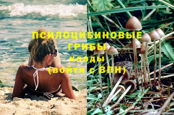 спайс Алексеевка